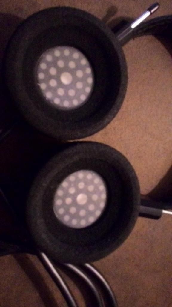  photo P_20150211_1953291.jpg