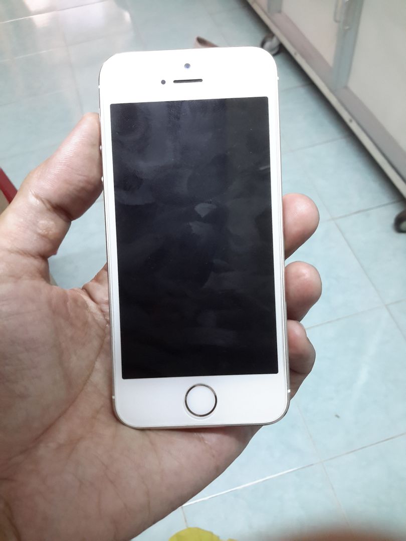Iphone 5s 16g Gold quốc tế zin 100% mới 98% ở Bình Dương