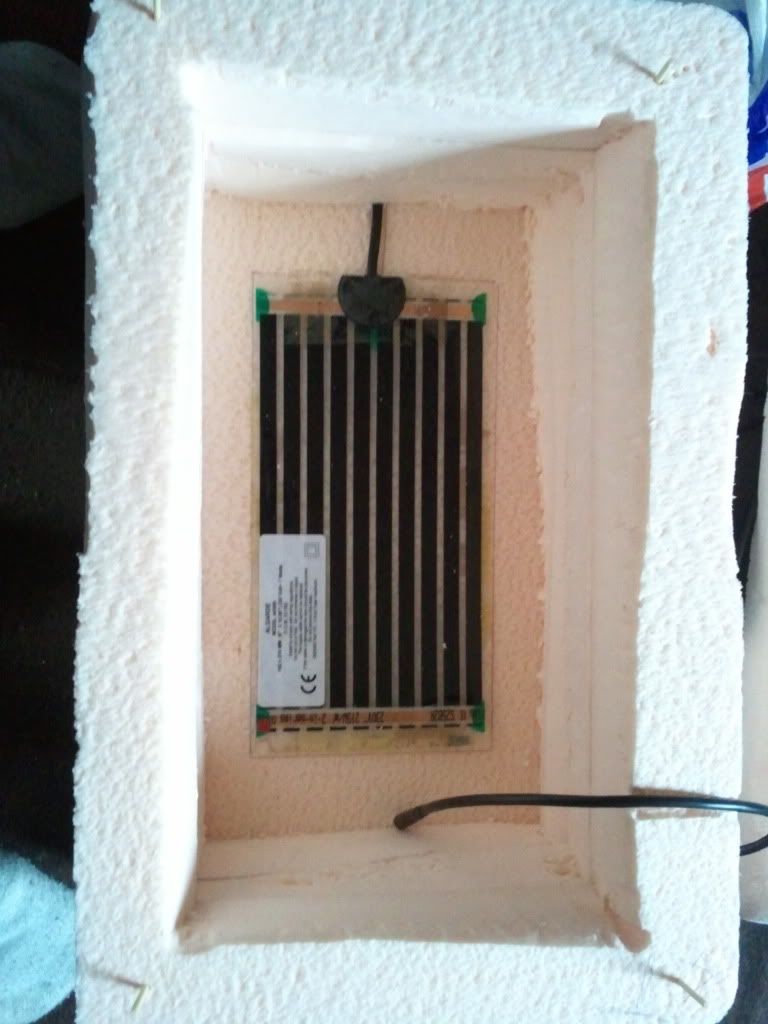 Incubator (homemade) Reptile Forums