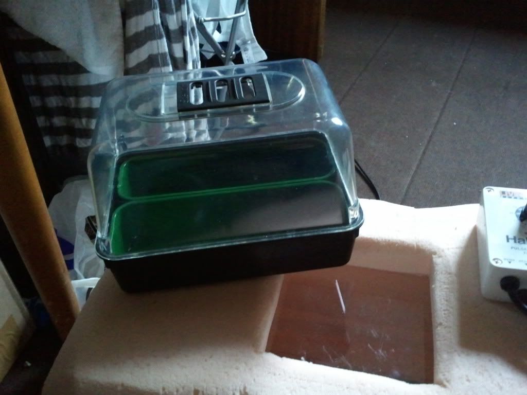 Incubator (homemade) Reptile Forums