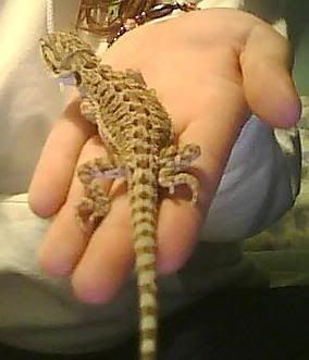 Picture0002.jpg