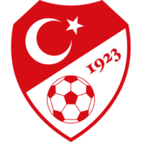 200px-Turkish_Football_Federation_logo.png