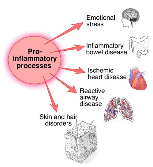 Inflammatory Process Inflammatory Process