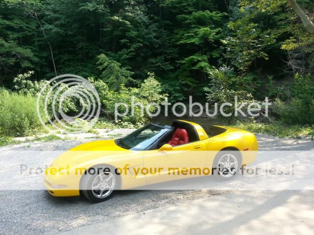 Yellow C5's... - CorvetteForum - Chevrolet Corvette Forum Discussion