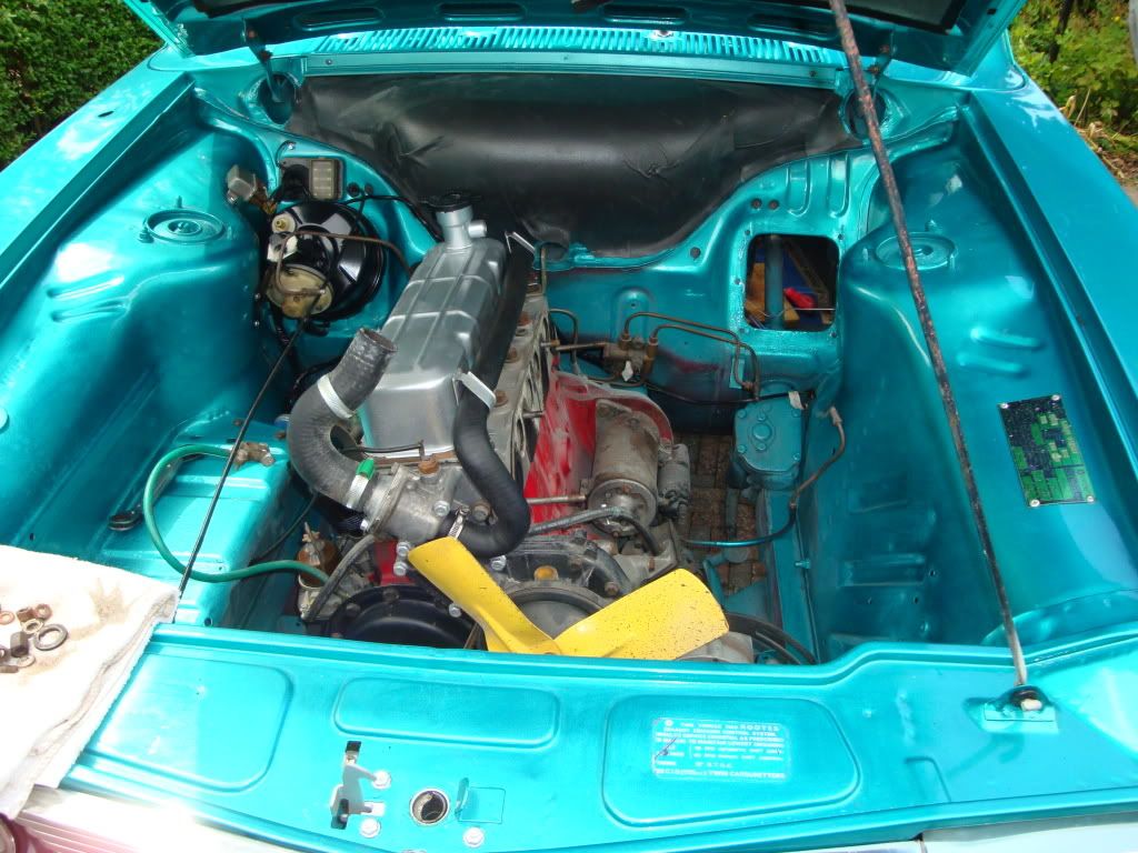 DSC03808.jpg